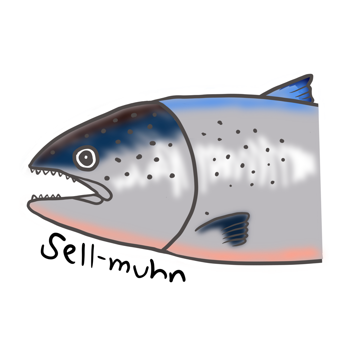 Salmon