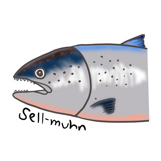 Salmon